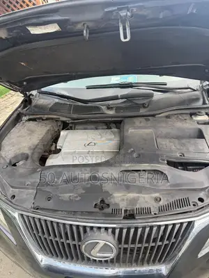 Lexus RX 2010 Blue
