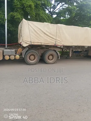 Dangote Cement and Bua Cement