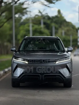 BYD Yuan Up 2024 Gray
