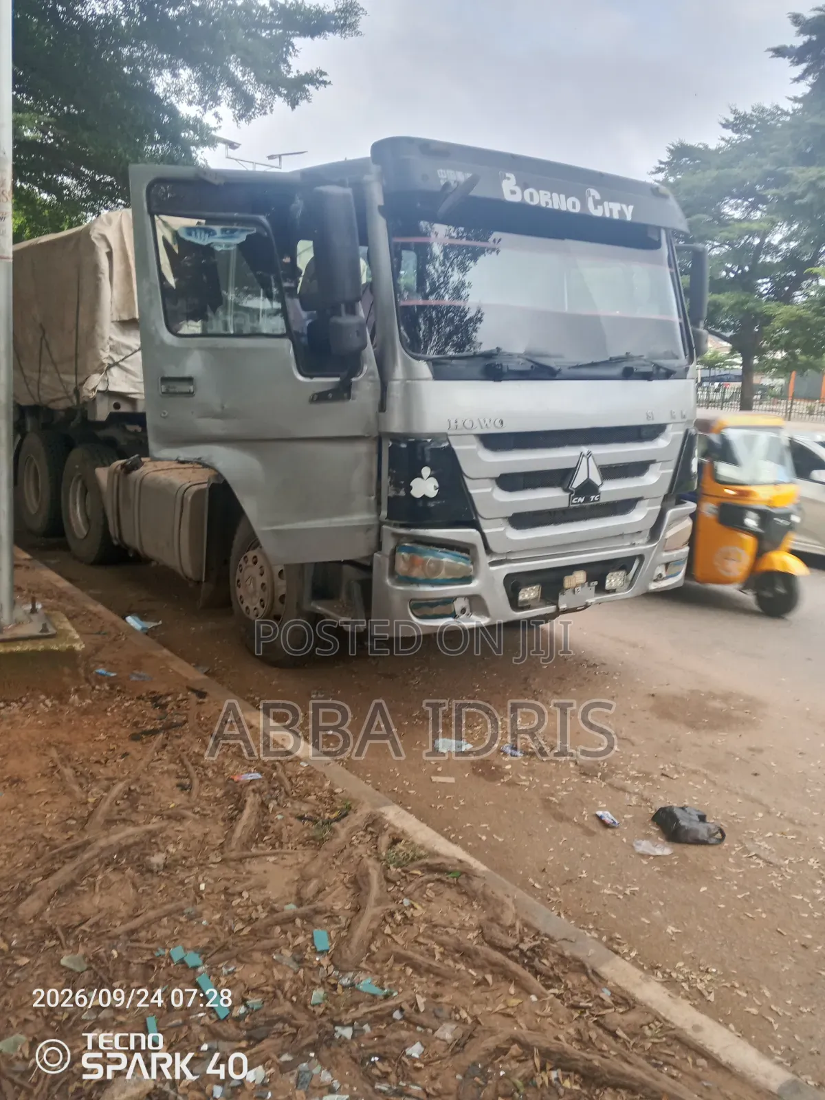 Dangote Cement and Bua Cement