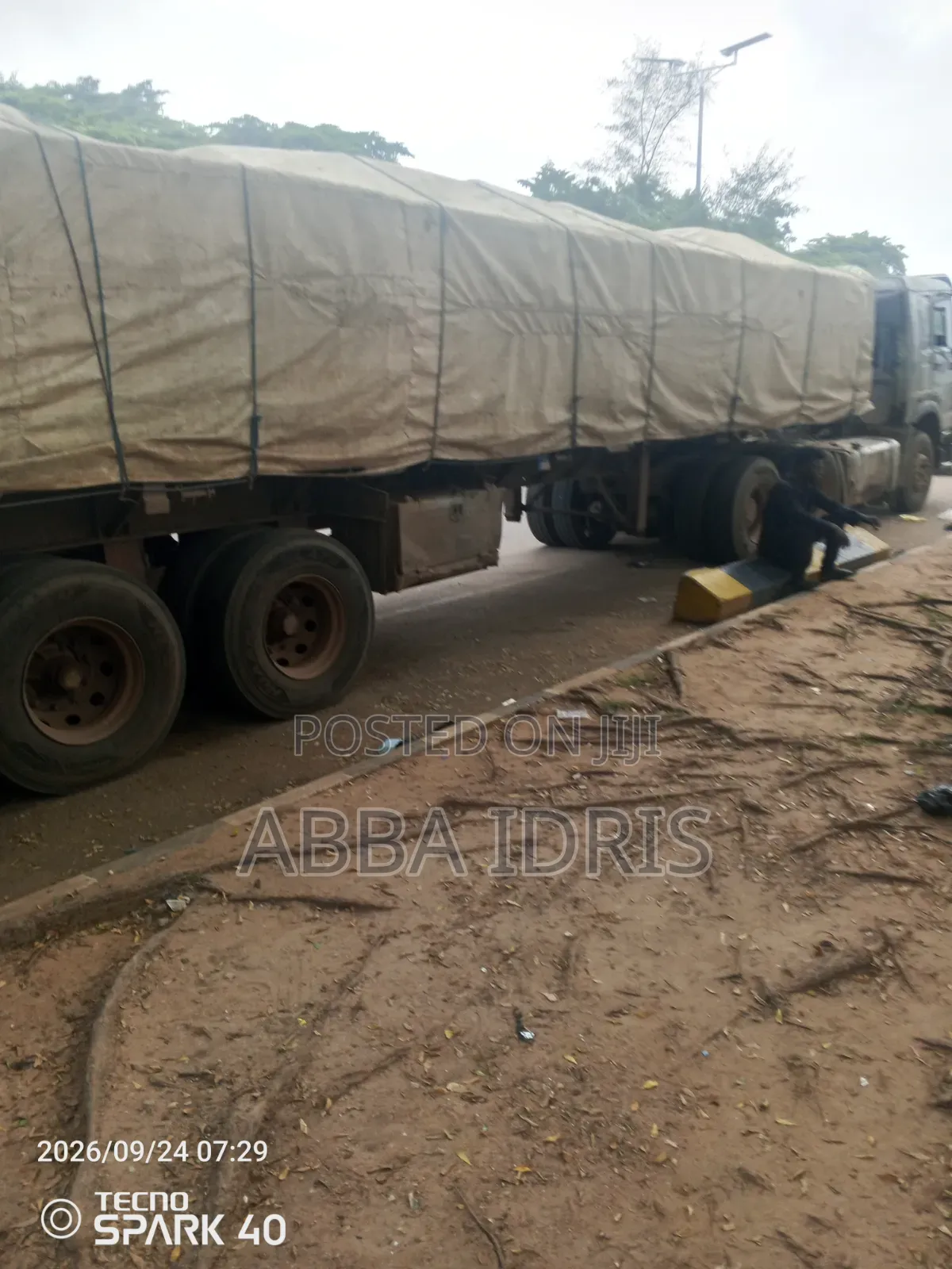 Dangote Cement and Bua Cement