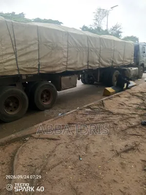 Dangote Cement and Bua Cement