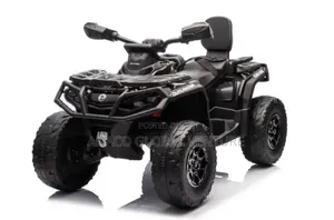 Children Automatic Bike With Battery Powered