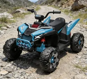 Children 2 Seater Bike Battery Powered 3 to 16 Years Old Children