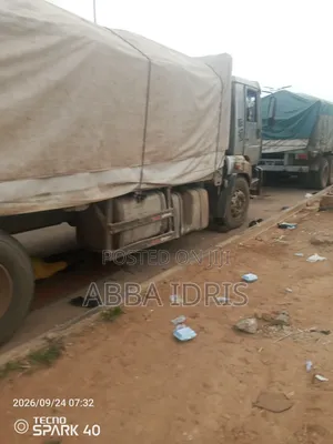 Dangote Cement and Bua Cement
