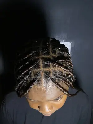 Braids and Locks