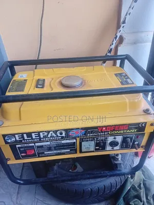 Elepaq Generator Clean