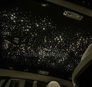 RGBW Led Fiber Optic Car Roof Star Lights