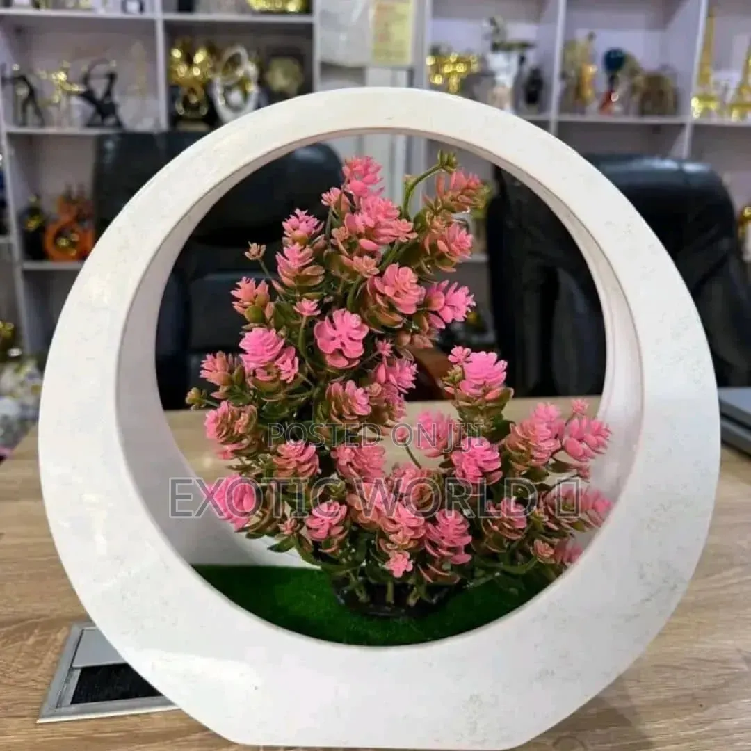 Artificial Fruit Tree Decor in Round Wooden Frame