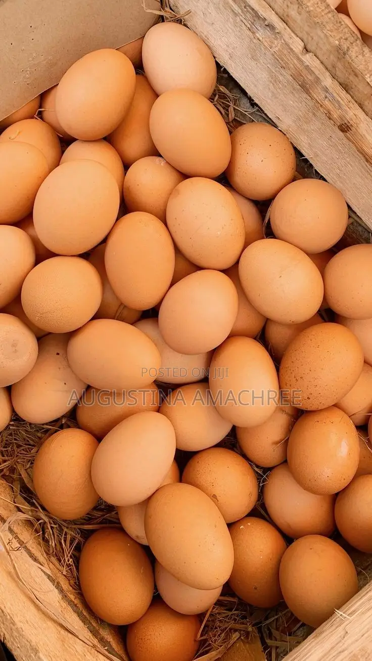 Crates of Eggs