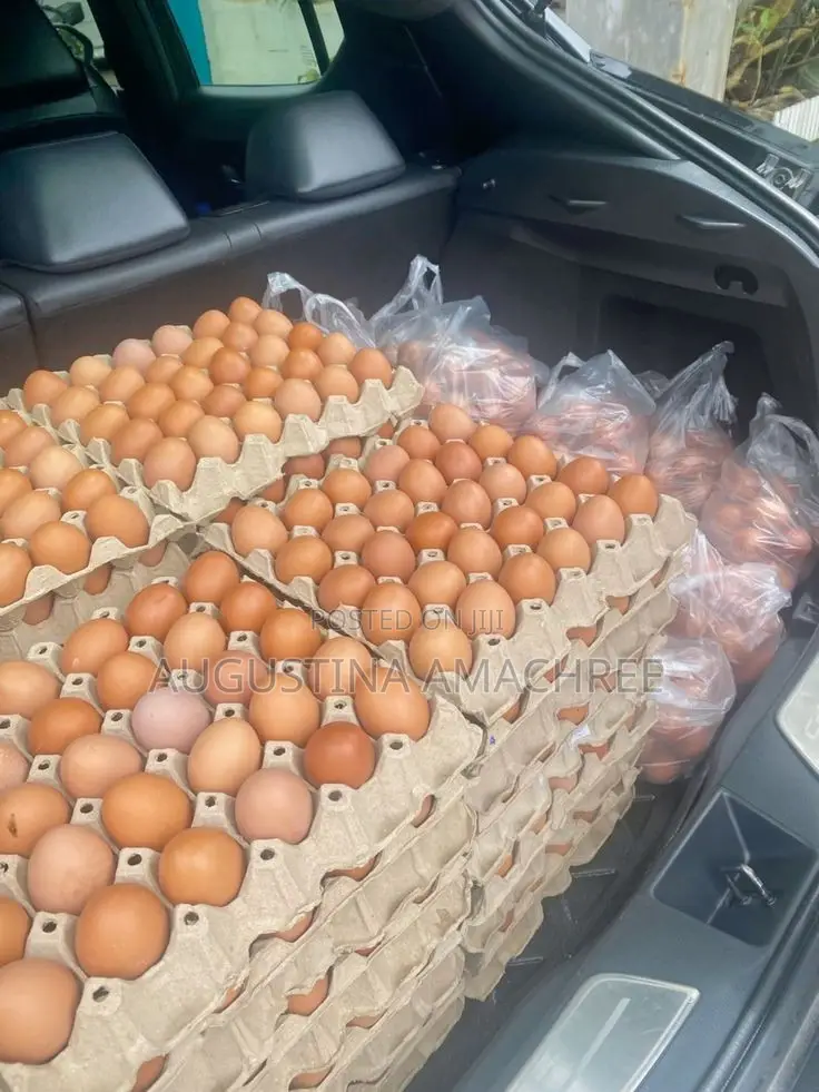 Crates of Eggs