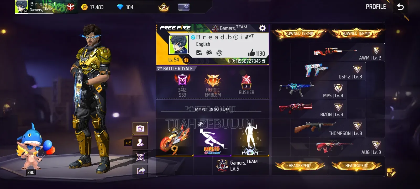 Level 54+ Freefire Account
