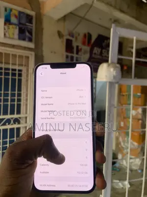 Apple iPhone 13 Pro Max 256 GB