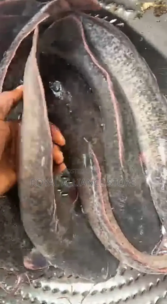 Premium Seafood