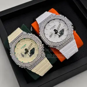 Shock Resistant Luxury Wristwatch for Men Women