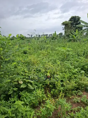 14 Acres Farmland for Agricultural Use