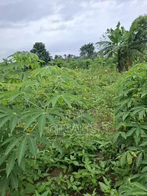 14 Acres Farmland for Agricultural Use