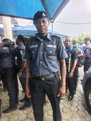 Spy Police Driver for VIP.