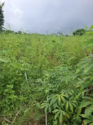 Farmland for Crop Livestock Farming