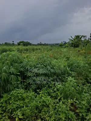 Farmland for Crop Livestock Farming