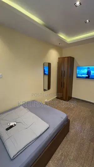 Furnished 1bdrm Apartment in Lagos Island / Lagos Island for rent