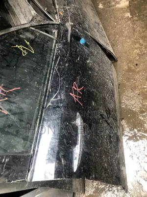 Door Acura ZDX 2013