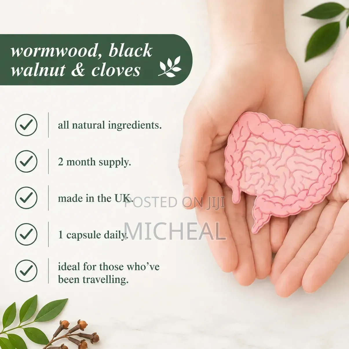 Wormwood, Black Walnut & Cloves Capsules Highstrength