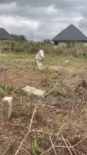 Plot of Land, 100ft by 200ft