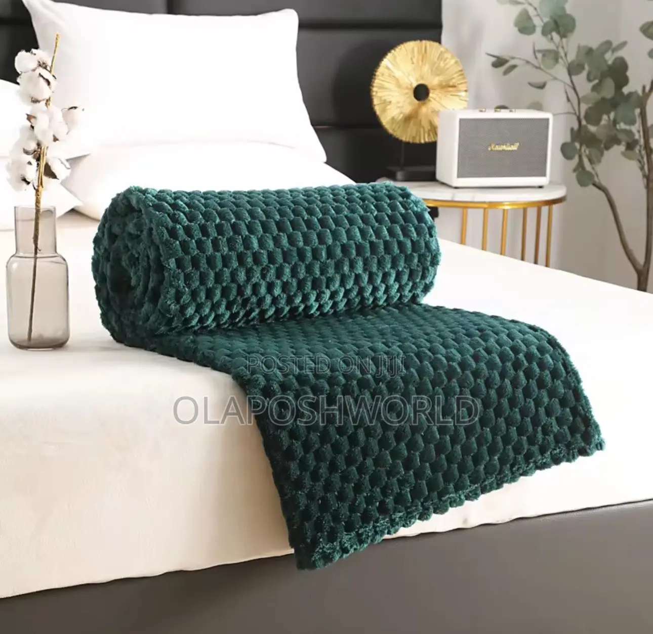 Green Soft Cozy Blanket