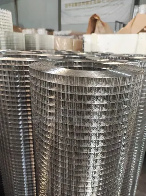 Stainless Steel Mesh