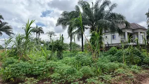 6 Plots of Land Available in Umuahai Fir Sale