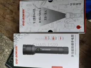 Inspection Torch