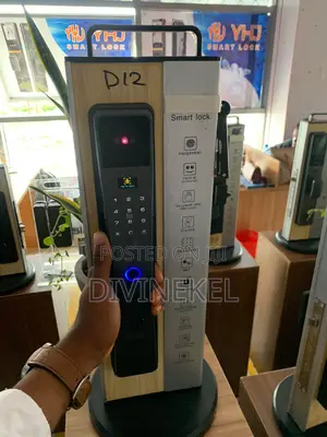 Premium D12 Biometric Identification Smart Lock Door Lock
