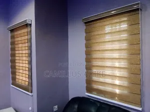 Day Night Window Blinds