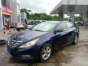 Hyundai Sonata 2011 Blue