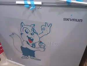 Skyrun BD-250AI Deep Freezer – Large Capacity Food Preservation