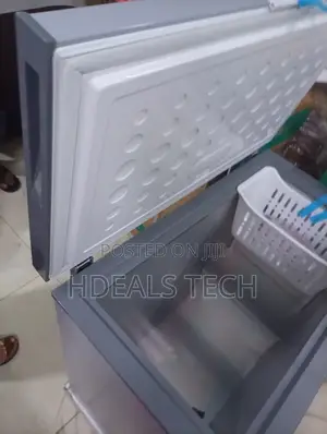 Skyrun BD-250AI Deep Freezer – Efficient Storage