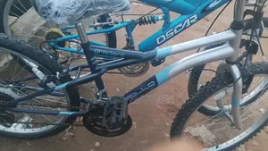 Adult Sports Bicycle Size 24