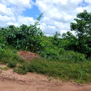 Plots of Land