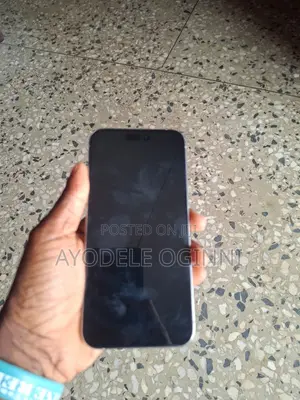 Apple iPhone 15 Pro Max 256 GB Gray