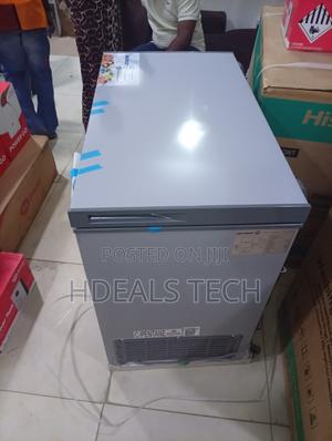 Skyrun BD-250AI Deep Freezer – Spacious Interior Inverter