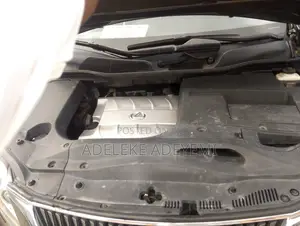 Lexus RX 350 2010 Gray