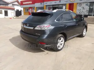 Lexus RX 350 2010 Gray