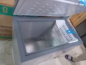 Inverter Skyrun BD-250AI Freezer – Practical Cold Storage