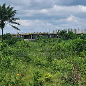 Plots of Land