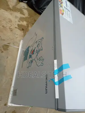Inverter Skyrun BD-250AI – Convenient Deep Storage for Household
