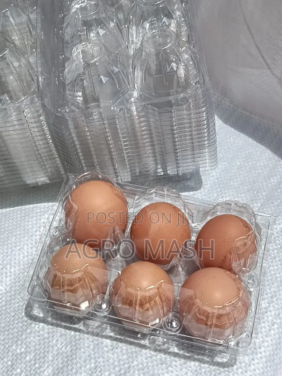 Transparent Egg Crates