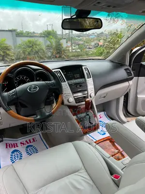 Lexus RX 350 2007 Silver