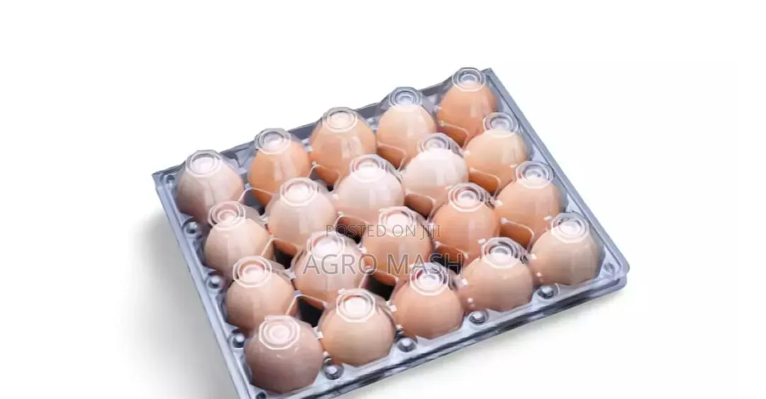 Transparent Egg Crates