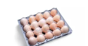Transparent Egg Crates